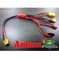 AMASS 正廠 ISDT SC-608/SC-620 專用五合一充電線